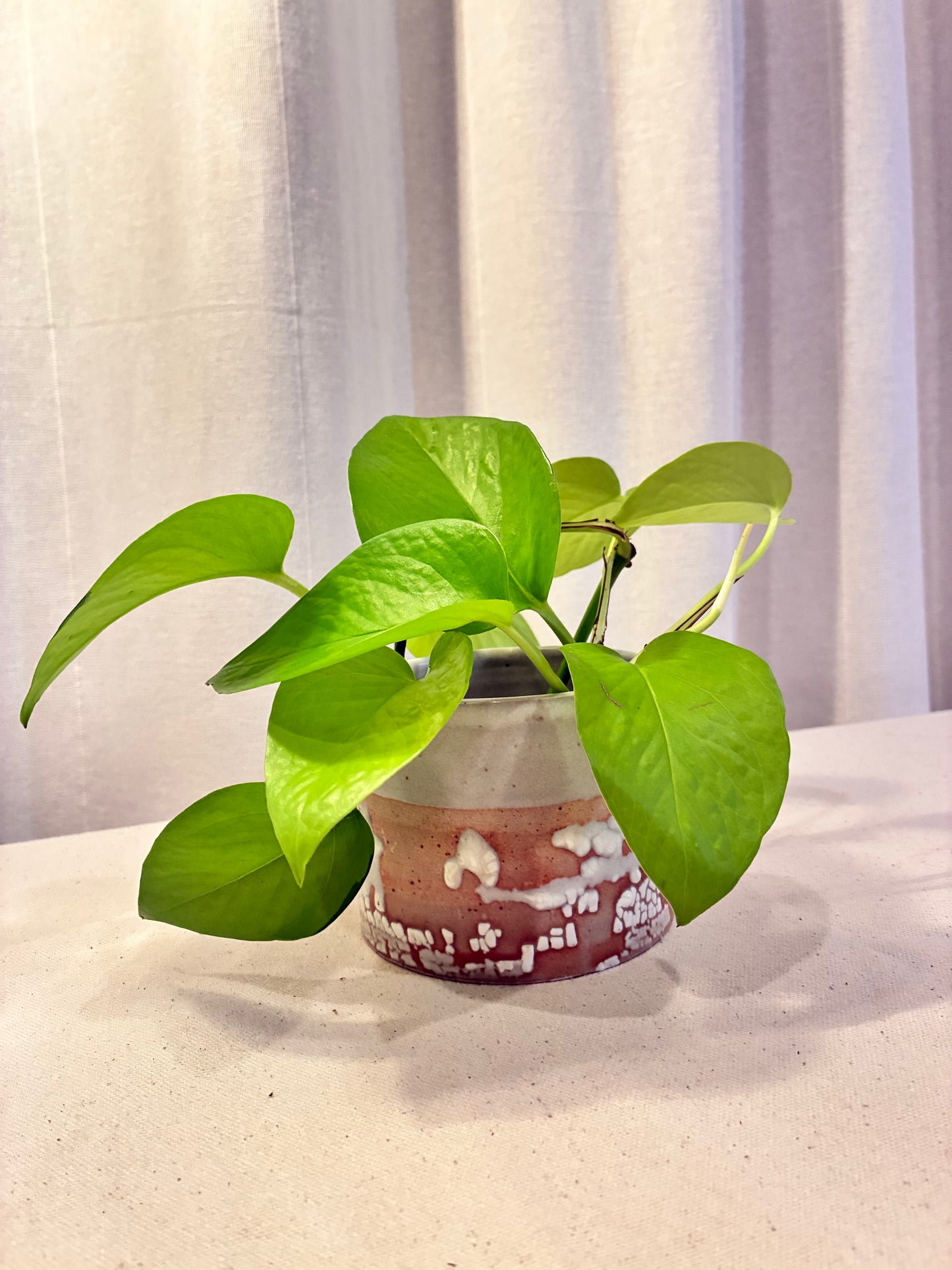 Mineral Small Planter