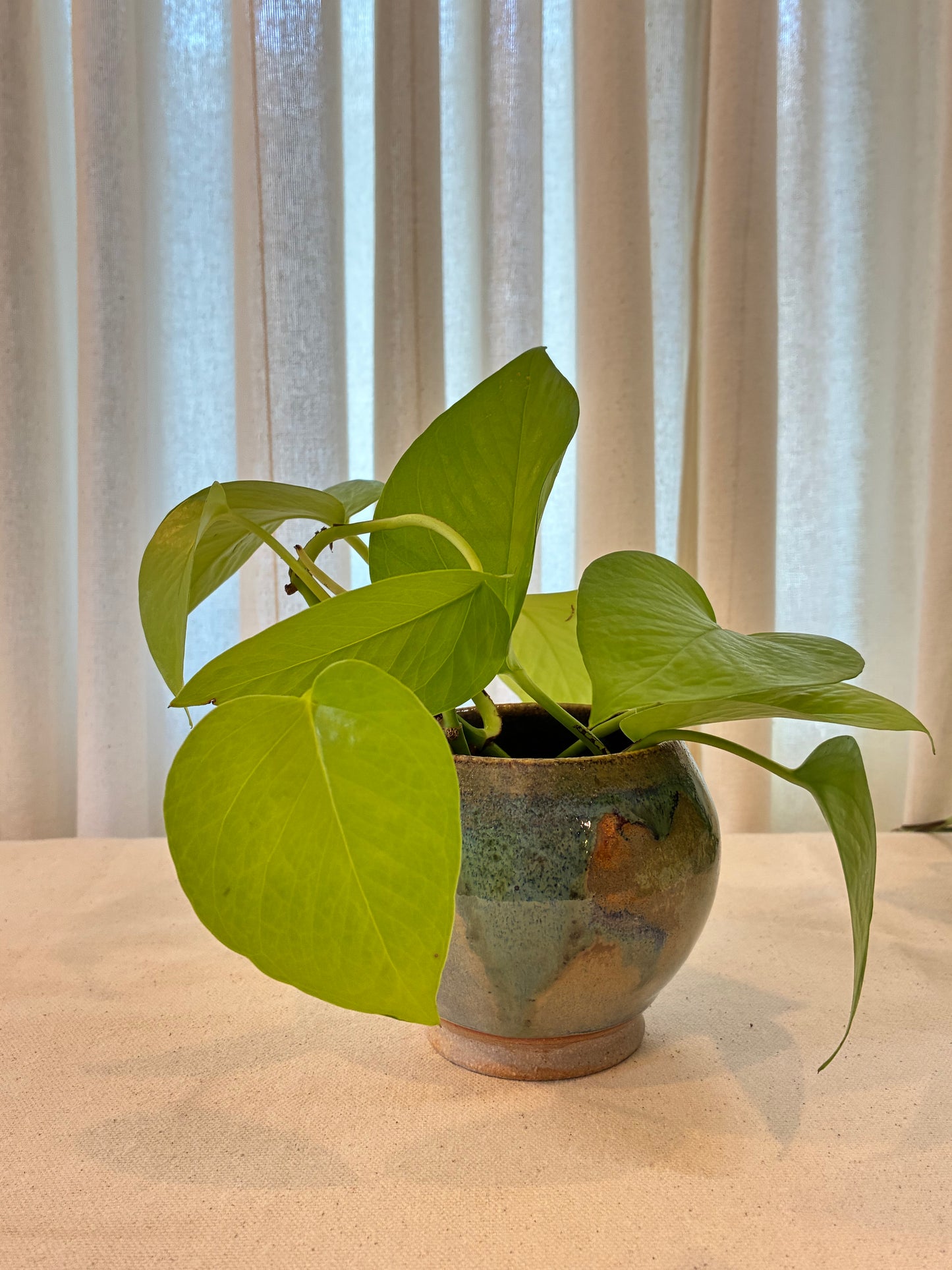 Lago Mini Moon Planter