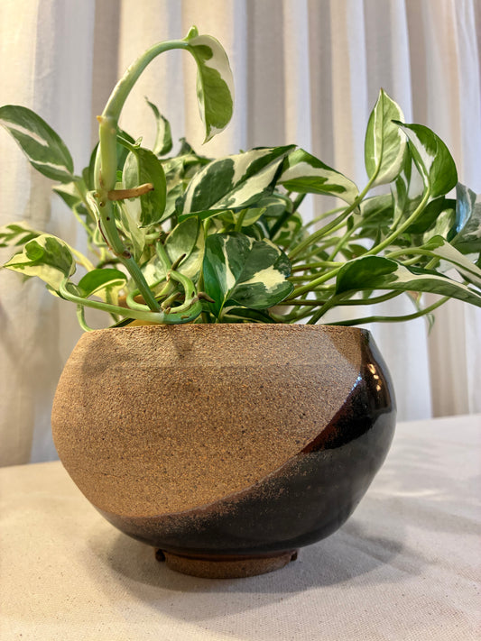 Espresso Moon Planter