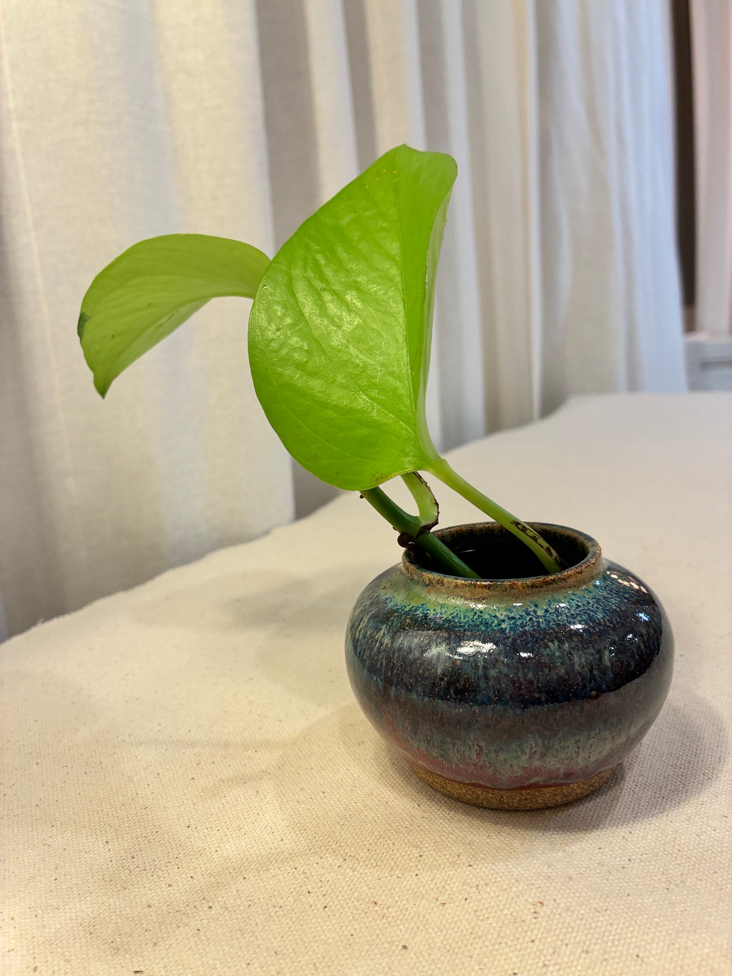 Celestial Mini Moon Vase