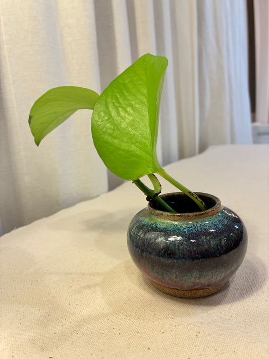 Celestial Mini Moon Vase