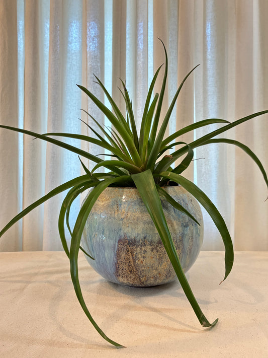 Heavenly Moon Planter