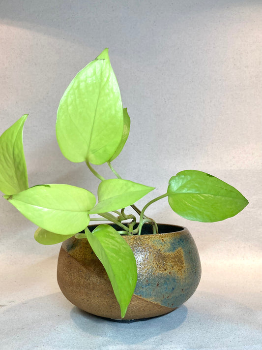 Meridian Moon Planter